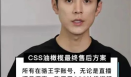 王宇直播号91,揭秘直播界的魅力与精彩瞬间